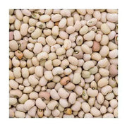 Texas Cream 8,Cowpea Seed  Southern Peas - Caribbean garden seed