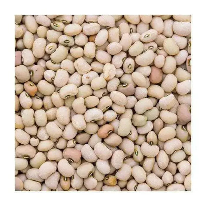 Texas Cream 8,Cowpea Seed  Southern Peas - Caribbean garden seed