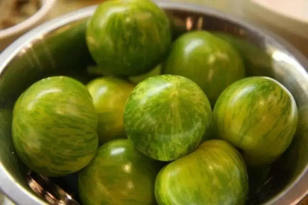 Thai Baby Green Eggplant  SEEDS, Asian Vegetable - Caribbean garden seed