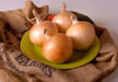 Texas Early Grano 502 PRR Onion seeds - Caribbean garden seed