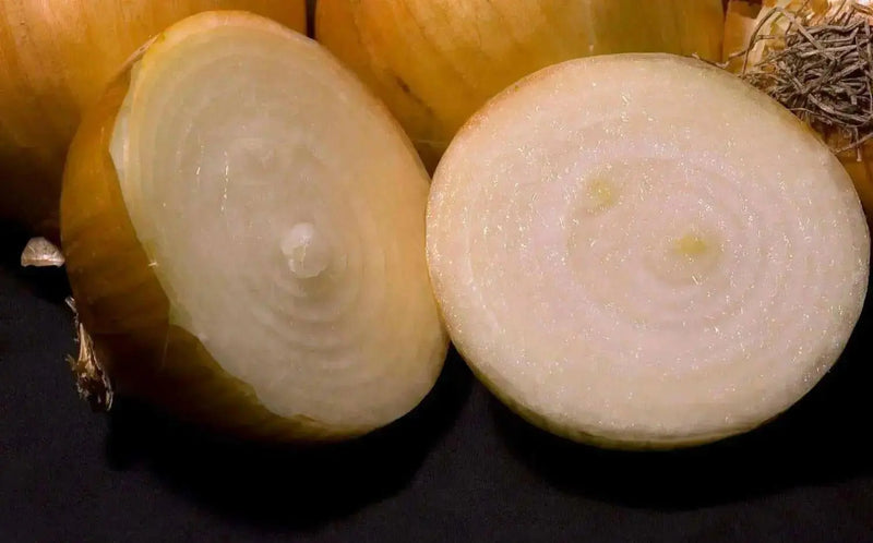 Texas Early Grano 502 PRR Onion seeds - Caribbean garden seed