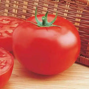 Tomato Seeds- Delicious-Guinness World Record holder for 28 years! Produces juicy, flavorful fruits. Perfect for sandwiches and slicing - Caribbean garden seed