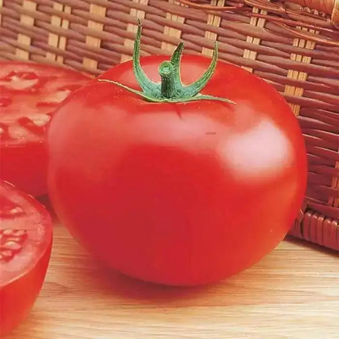 Tomato Seeds- Delicious-Guinness World Record holder for 28 years! Produces juicy, flavorful fruits. Perfect for sandwiches and slicing - Caribbean garden seed
