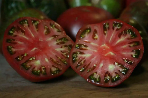 Tomato LIVE PLANT - CHEROKEE PURPLE Heirloom  VEGETABLE - Caribbean garden seed