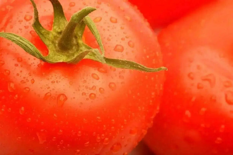 Tomato Seeds - ' Ace 55 heirloom tomato - Open Pollinated,SWEET & JUICY - Caribbean garden seed