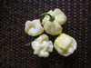 Trinidad 7 Pod WHITE Chili Pepper Seeds  ( Capsicum Chinense) Extremely hot, - Caribbean garden seed