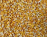 Truckers Favorite Yellow Corn Open pollination, - Caribbean garden seed