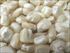 Truckers Favorite White Corn Seed,Heirloom - Caribbean garden seed
