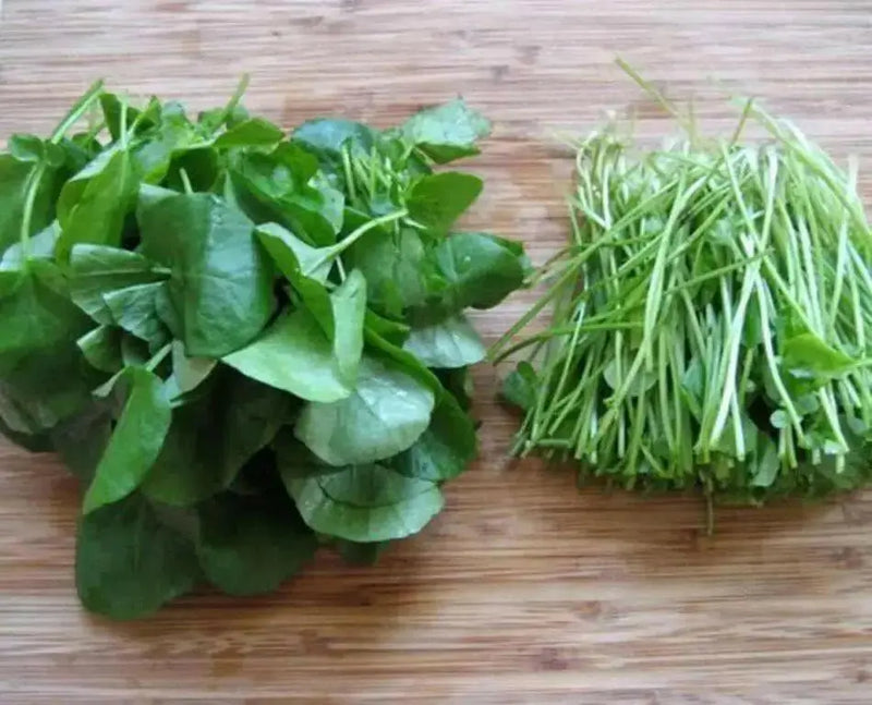 True Watercress ,Seed ,Asian Vegetable - Caribbean garden seed