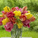 Tulip Parrot, Soft Spring Mix,12/+cm, - Caribbean garden seed