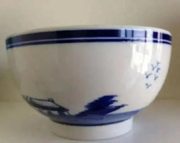 TULIPS BULBS ,Indoor Growing Kit with Delft Ceramic Bowl, Great Gift, - Caribbean garden seed