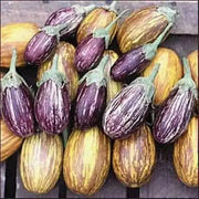 UDMALBET EGGPLANT- Open-Pollinated ,Organic Non-GMO - Caribbean garden seed