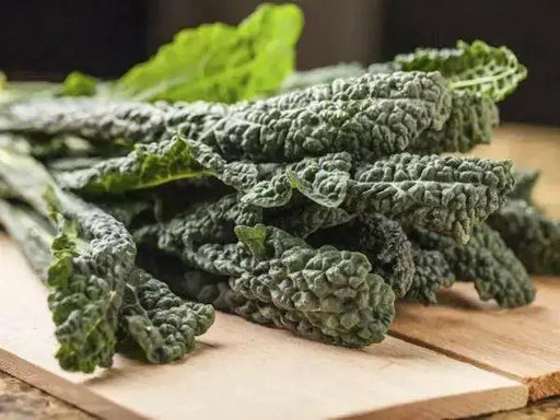 Tuscan Black Kale Seeds  , A MUST GROW Vegetable - Caribbean garden seed
