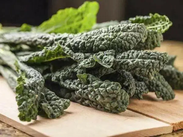 Tuscan Black Kale Seeds  , A MUST GROW Vegetable - Caribbean garden seed