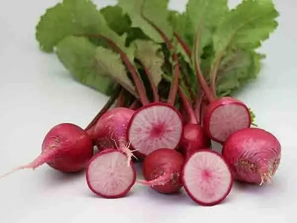 Turnip Seeds,Red Round Japanese Turnip, leafy tops are pink-ribbed and tender ! - Caribbean garden seed