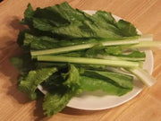 Turnip Seeds," Nozawana,Japanese, turnip green  (Brassica rapa) asian Vegetable - Caribbean garden seed
