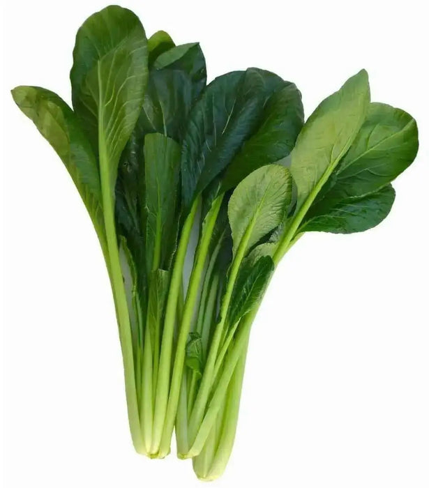 Turnip Seeds," Nozawana,Japanese, turnip green  (Brassica rapa) asian Vegetable - Caribbean garden seed