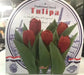 Tulip Indoor Growing Kit,\,  Great Gift - Caribbean garden seed
