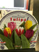 Tulip Indoor Growing Kit,\,  Great Gift - Caribbean garden seed
