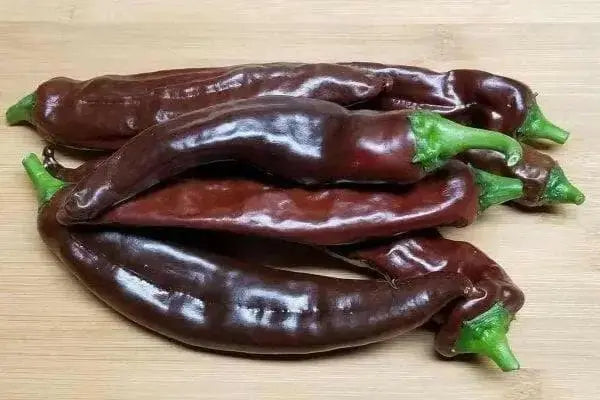 Vallero Hot Pepper Seed  (Capsicum annuum) - Caribbean garden seed