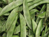 Valor Bean Seeds, LABLAB, (bush BEAN) (Asian Vegetables) White Flowers VINE - Caribbean garden seed