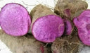 UBE Filipino Purple yam, JAMAICAN MOONSHINE,YAM ,Indian Ratalu - Caribbean garden seed