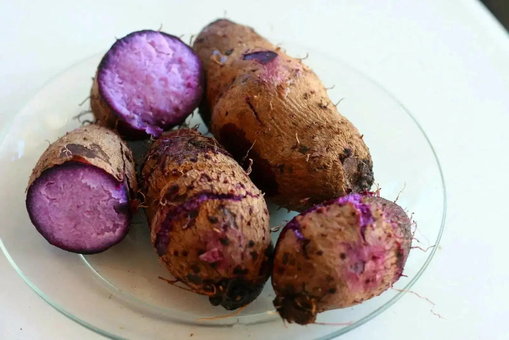 UBE Filipino Purple yam, JAMAICAN MOONSHINE,YAM ,Indian Ratalu - Caribbean garden seed