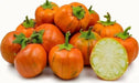 Turkish Orange Eggplant Seeds-ANNUAL VEGETABLE - Caribbean garden seed