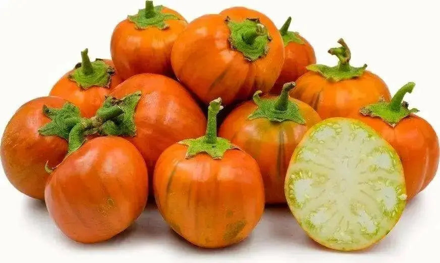 Turkish Orange Eggplant Seeds-ANNUAL VEGETABLE - Caribbean garden seed