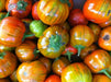 Turkish Orange Eggplant Seeds-ANNUAL VEGETABLE - Caribbean garden seed