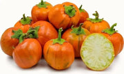 Turkish Orange Eggplant Seeds-ANNUAL VEGETABLE - Caribbean garden seed