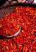 Vietnamese Pepper SEEDS (Capsicum annuum) OT HIEM, ASIAN VEGETABLE - Caribbean garden seed