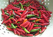 Vietnamese Pepper SEEDS (Capsicum annuum) OT HIEM, ASIAN VEGETABLE - Caribbean garden seed