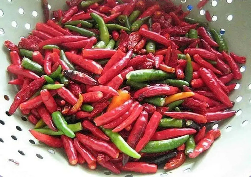 Vietnamese Pepper SEEDS (Capsicum annuum) OT HIEM, ASIAN VEGETABLE - Caribbean garden seed