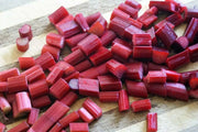 Victoria Rhubarb Seeds ,Winter Hardy, VEGETABLE - Caribbean garden seed