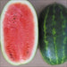 Watermelon Seeds - 'All Sweet" Citrullus lanatus - Caribbean garden seed
