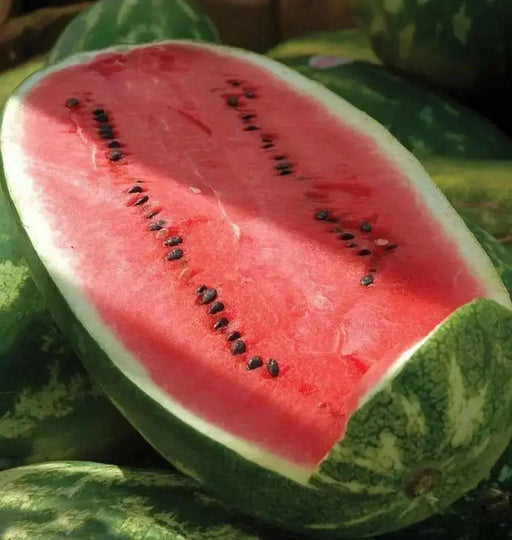 Watermelon Seeds - 'All Sweet" Citrullus lanatus - Caribbean garden seed