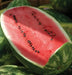 Watermelon Seeds - 'All Sweet" Citrullus lanatus - Caribbean garden seed