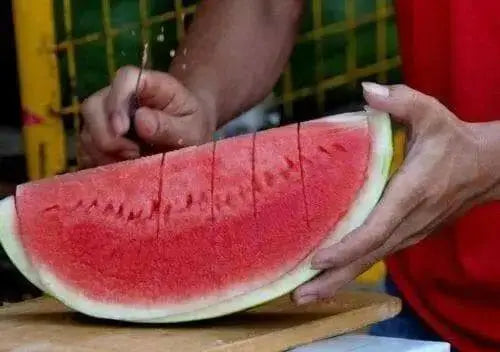 Watermelon seeds --Ancient-- non-GMO Heirloom Seeds (Bright Red Flesh) fruits.
