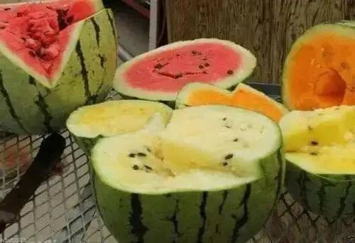 Watermelon seeds - Mix ~ Red, Orange,Yellow Flesh,Non-GMO Heirloom Seeds ! - Caribbean garden seed