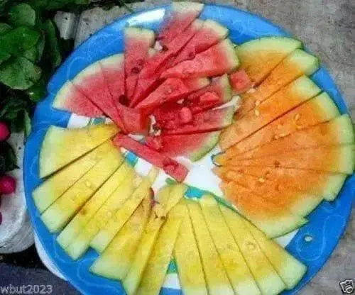 Watermelon seeds - Mix ~ Red, Orange,Yellow Flesh,Non-GMO Heirloom Seeds ! - Caribbean garden seed