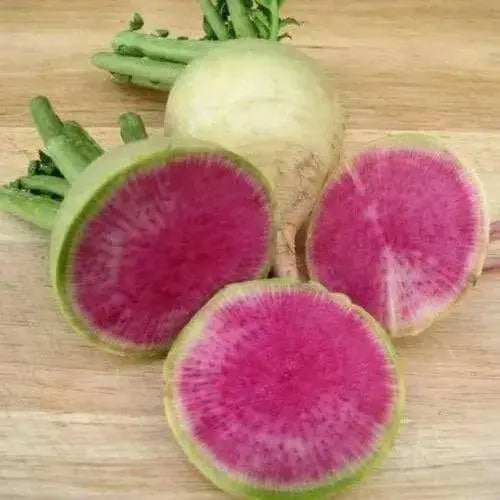Watermelon Radish ,Red Meat (OP)  Asian Vegetable - Caribbean garden seed