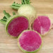 Watermelon Radish ,Red Meat (OP)  Asian Vegetable - Caribbean garden seed
