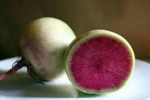 Watermelon Radish ,Red Meat (OP)  Asian Vegetable - Caribbean garden seed