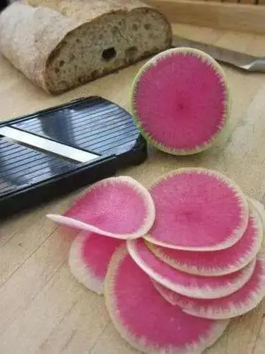 Watermelon Radish ,Red Meat (OP)  Asian Vegetable - Caribbean garden seed