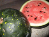 Watermelon seeds -- Moon & Stars - Red ~ Certified Organic ~ Non-GMO Heirloom Seeds - Caribbean garden seed