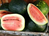 Watermelon Seeds- Black Diamond  Heirloom Non Gmo - Caribbean garden seed