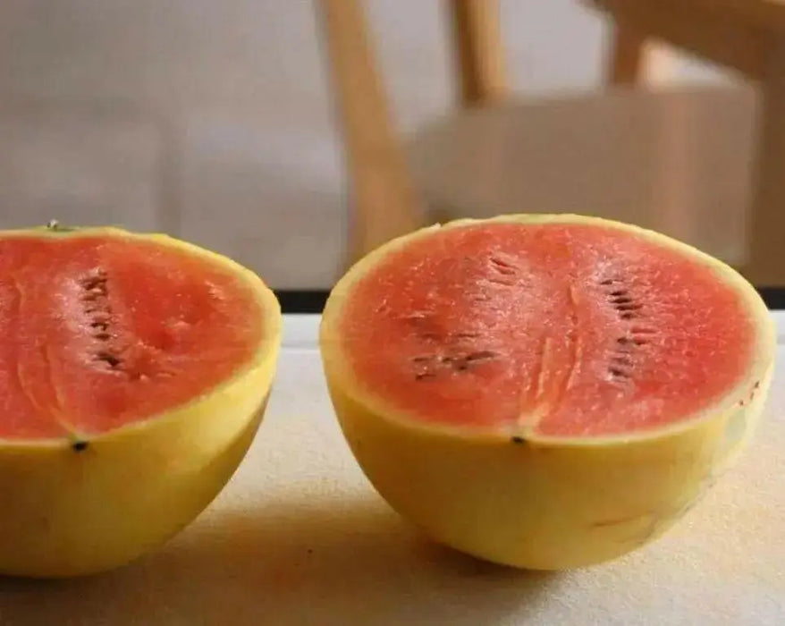 Watermelon seeds - Golden Midget (Citrullus lanatus) Non-GMO Heirloom ,Organic - Caribbean garden seed