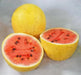 Watermelon seeds - Golden Midget (Citrullus lanatus) Non-GMO Heirloom ,Organic - Caribbean garden seed