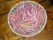 White Cargamanto bean Aka frijol cargamanto Blanco - Columbian Heirloom - Caribbean garden seed
